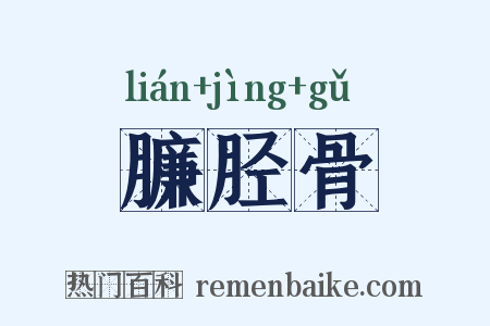 臁胫骨是什么意思的图片